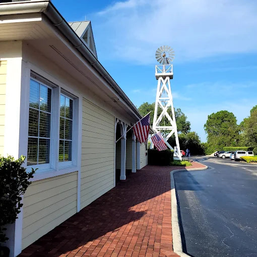 Celebration, Florida: The Town Built by Imagination